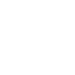 Pulley logo